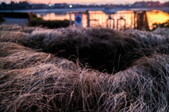 夜明けの散歩道