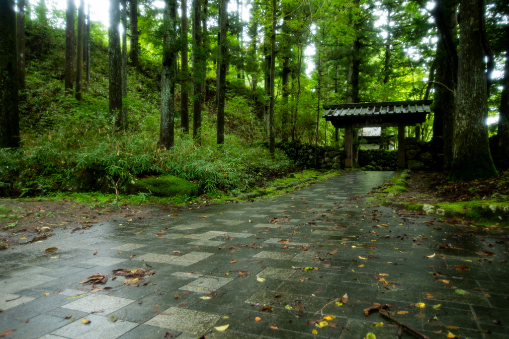 慈雲寺