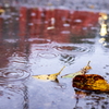 雨の朝