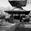 足利市（鑁阿寺）