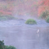せせらぎ公園　