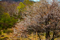 赤城山
