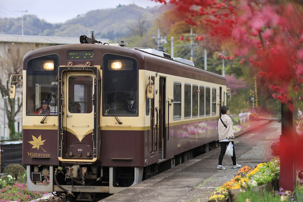 上寒梅駅の春、