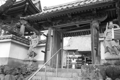 群馬１００景　（珊瑚寺）