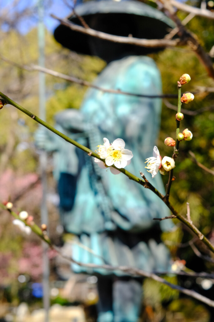 鑁阿寺（足利市）
