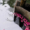 雨の朝