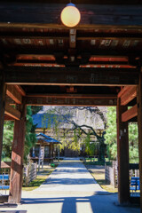 茂林寺　狸寺