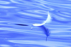 旅たちのプレゼント、