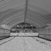 野菜王国（群馬の冬）