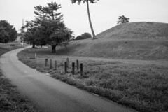 散歩道