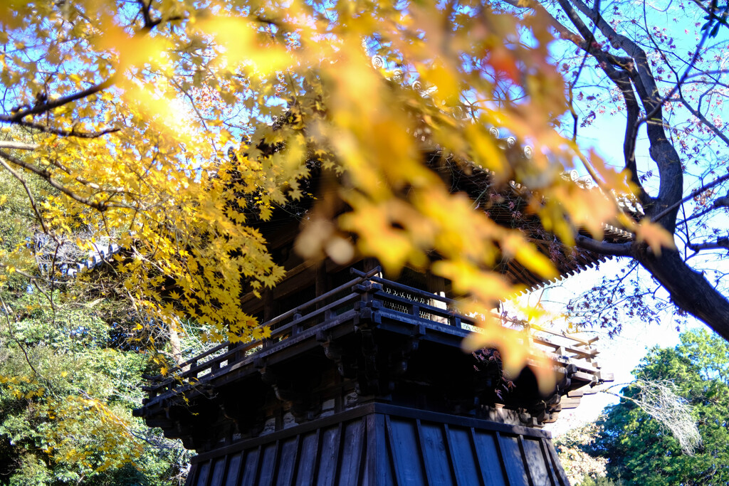 鐘突き堂（鑁阿寺）