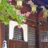 龍泉寺