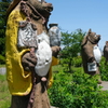 狸のお寺　茂林寺
