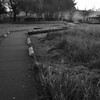 散歩道　