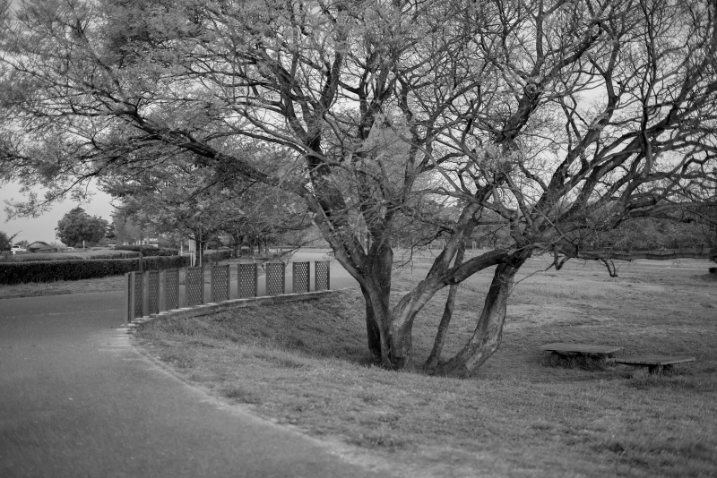 古墳公園、