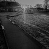 早春の大室公園