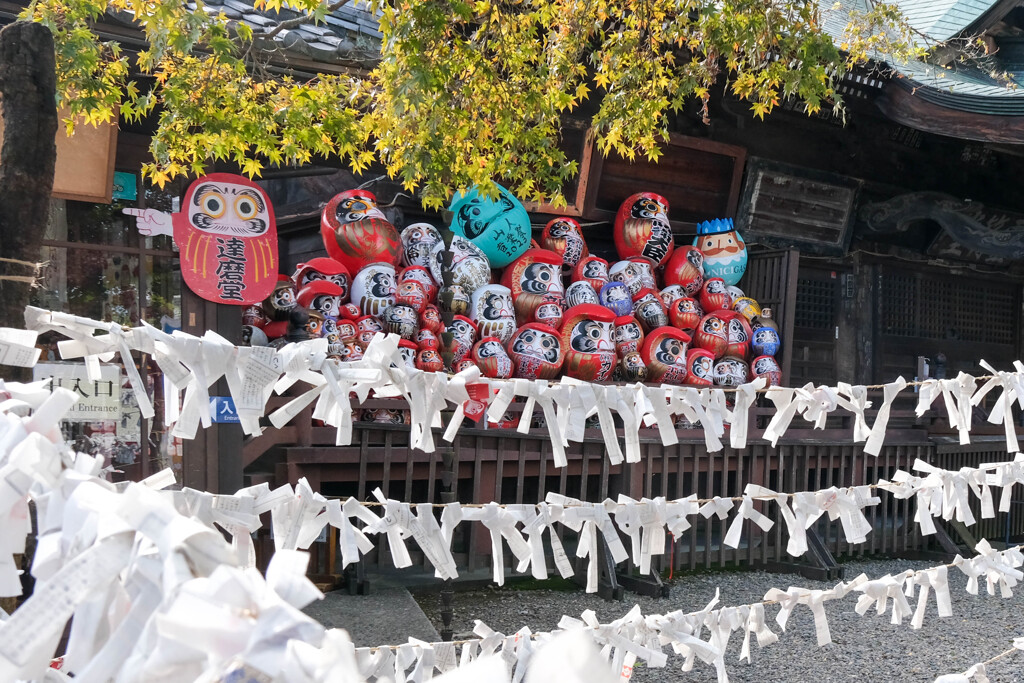 達磨寺　高崎市