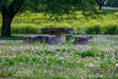 古墳公園