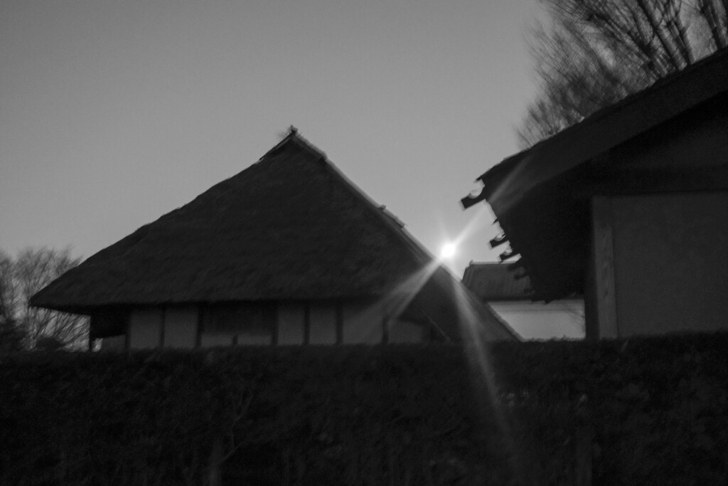 お月様に誘われて