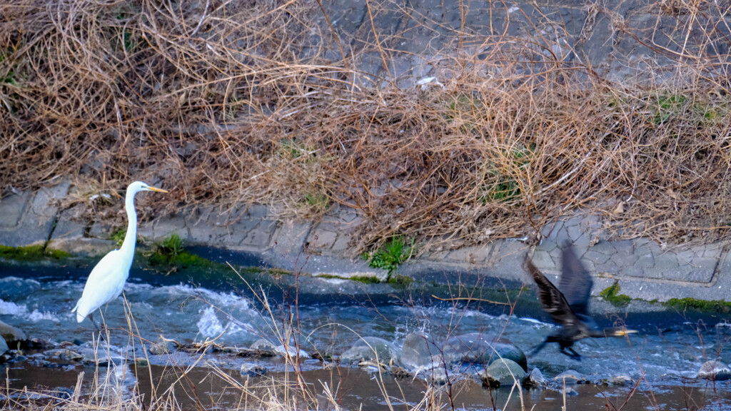 せせらぎ公園　Ⅱ