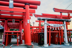 早朝散歩　日の出前、