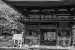古寺の春