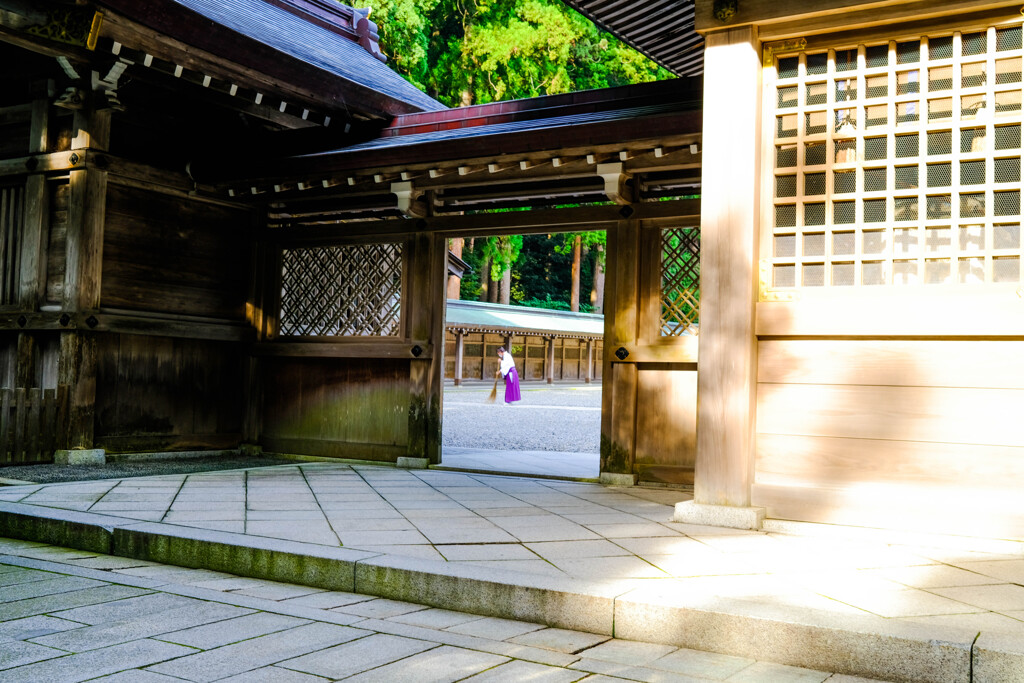 弥彦神社　