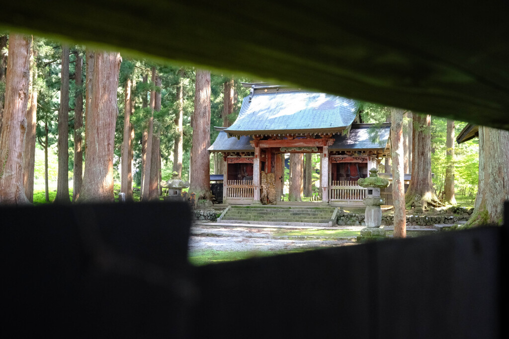 雲洞庵　塀の外から