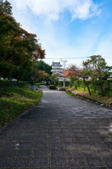 忍城（散歩道）