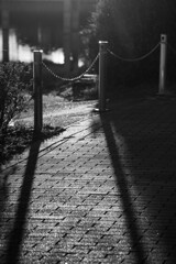 散歩道-