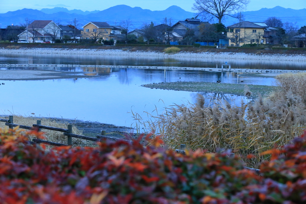 波志江沼の朝、