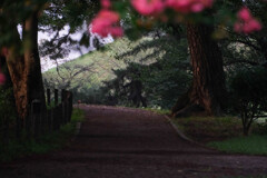 散歩道（二子山古墳）