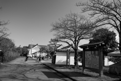 関宿城散歩道（千葉県野田市）