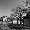 関宿城散歩道（千葉県野田市）