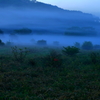 霧の草原、