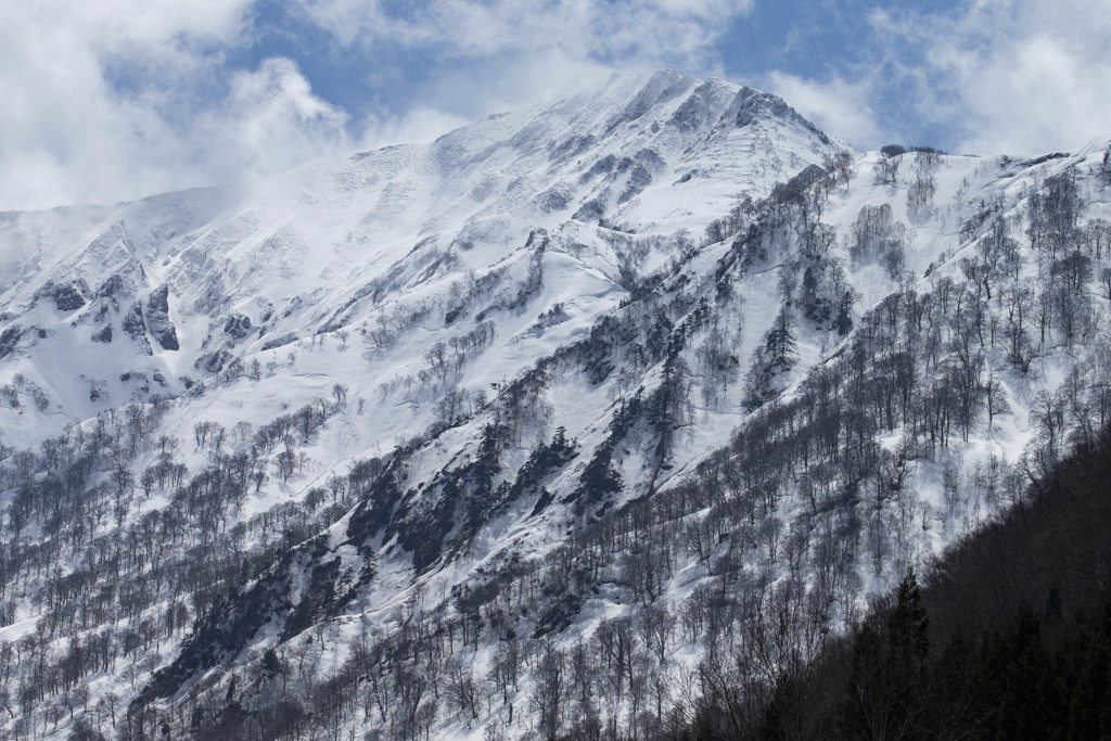 一人旅　雪山を仰ぐ、