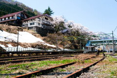 トンネルを抜けるとそこは春の世界