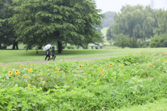 雨の散歩道