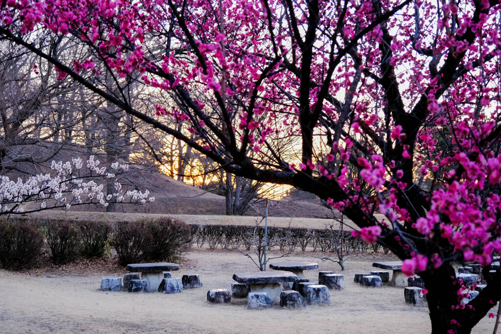 おもてなし広場