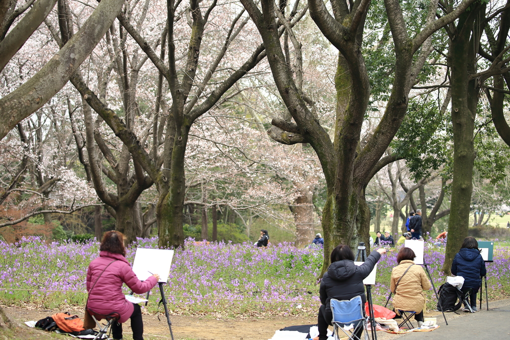 もうすぐ桜、