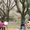 もうすぐ桜、
