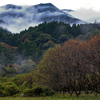 雨の一人旅　Ⅱ