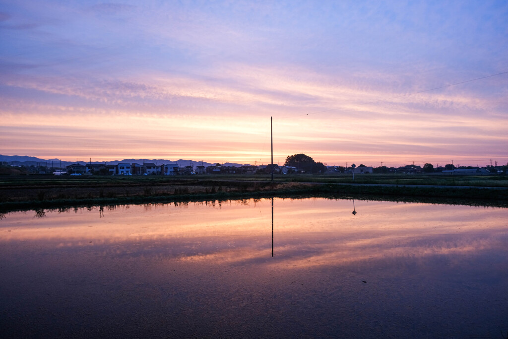 夜明けの散歩道