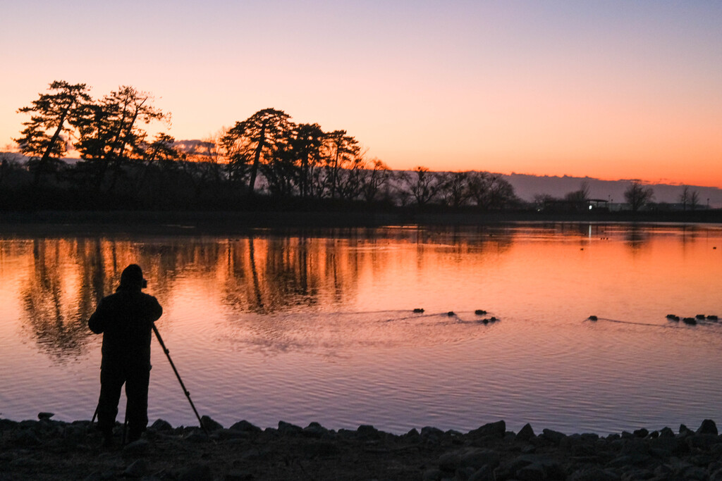 寒い夜明け　（御料沼）