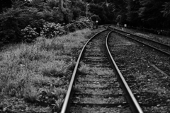 渡良瀬渓谷鉄道