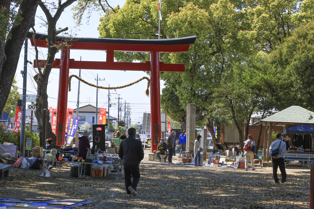 骨董市　新田神社