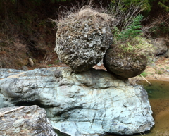 がんばってます。