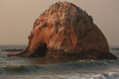 津波が去った悲しい岩、（二つ島）