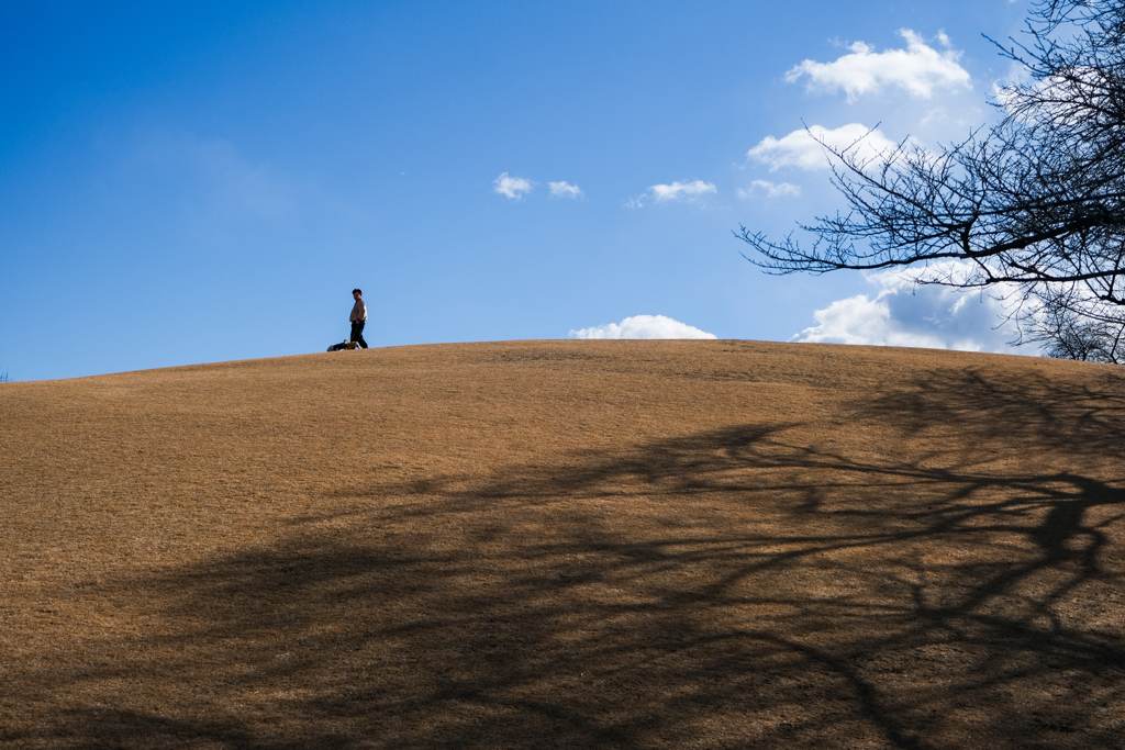 伊勢崎みらい公園