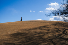 伊勢崎みらい公園